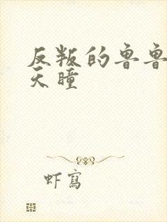反叛的鲁鲁修之天瞳