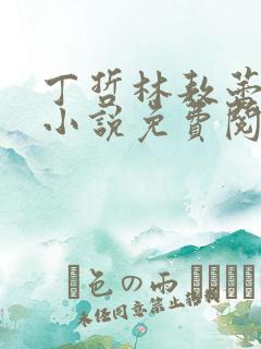 丁哲林敖蕾主角小说免费阅读笔趣