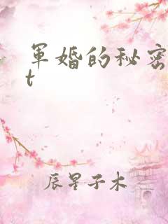 军婚的秘密txt
