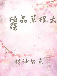 极品草根太子张强