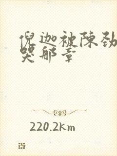 倪迦被陈劲生做哭那章