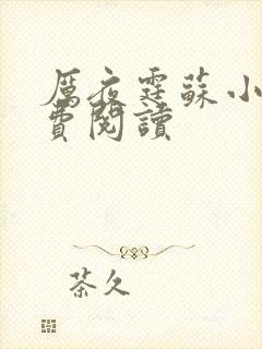 厉夜霆苏小汐免费阅读