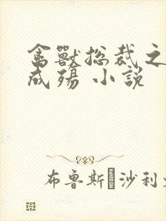 禽兽总裁之虐爱成殇 小说