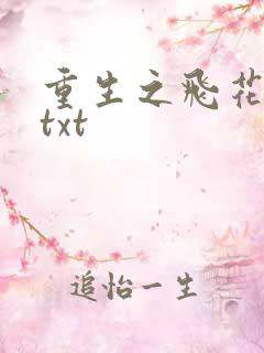 重生之飞花落照txt