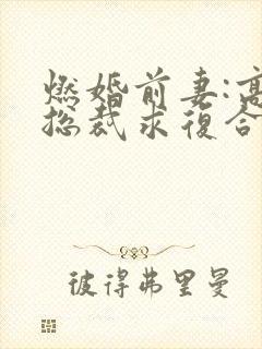 燃婚前妻:高冷总裁求复合