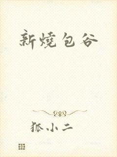 新烧包谷