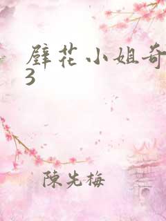 壁花小姐奇遇记3