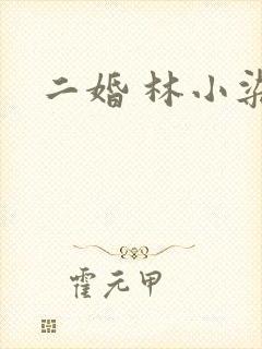 二婚 林小染