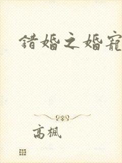 错婚之婚宠一世