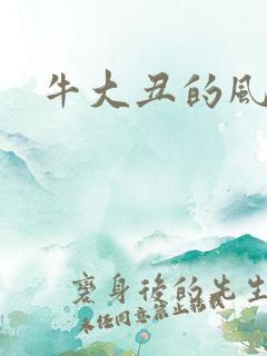 牛大丑的风流记