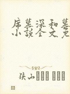 席慕深和慕清泠小说全文免费阅读