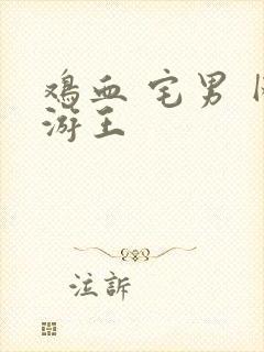 鸡血 宅男 网游王