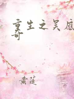 重生之吴应熊传奇