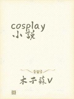 cosplay小说