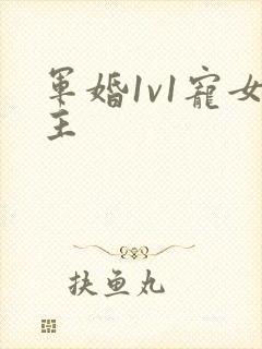 军婚1v1宠女主
