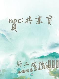 npc:共享宝贝