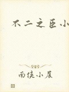 不二之臣小说