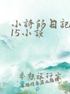 小诗的日记1一15小说