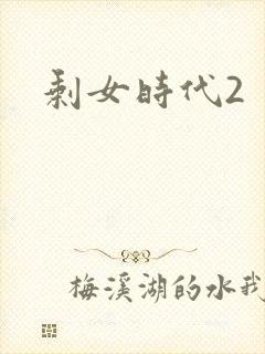剩女时代2