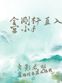 金刚杵直入莲花宫小f