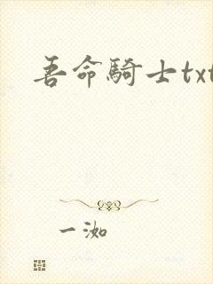 吾命骑士txt