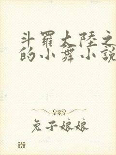 斗罗大陆之Y荡的小舞小说