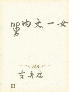 np肉文一女多男