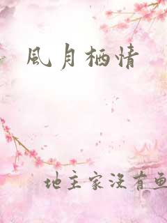风月栖情