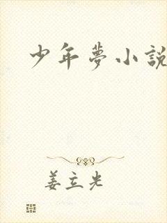 少年梦小说