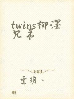 twins柳泽兄弟