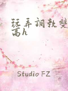 玩弄调教双胞胎高h