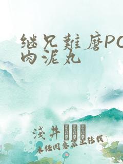 继兄难磨PO猪肉泥丸