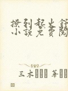 撩到起火舒漾的小说免费阅读全文