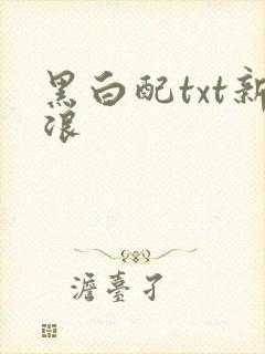 黑白配txt新浪