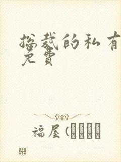 总裁的私有宝贝免费