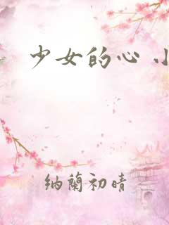 少女的心 小说