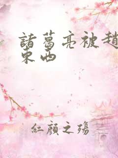 诸葛亮被赵云塞东西