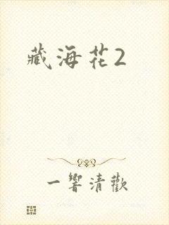 藏海花2