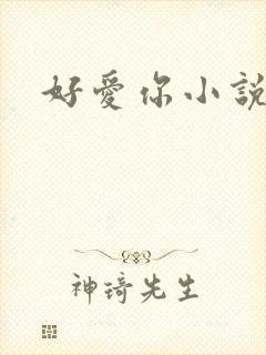 好爱你小说