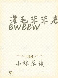 浓毛茸茸老太BBWBBW