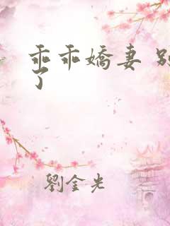 乖乖娇妻 别闹了