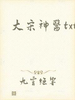 大宋神医txt