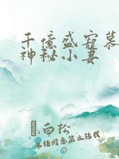 千亿盛宠慕少的神秘小妻