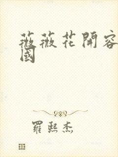 薇薇花开容颜倾国