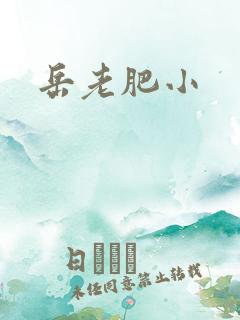 岳老肥小