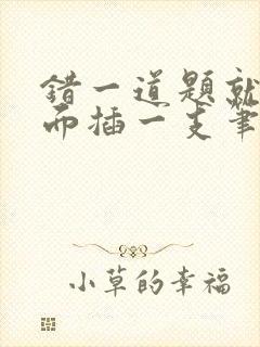 错一道题就往下面插一支笔怎么办