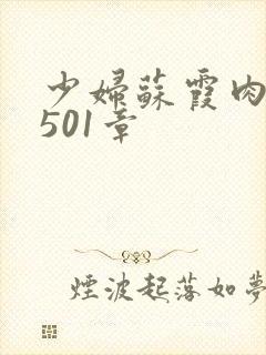 少妇苏霞肉欲第501章