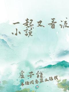 一起又看流星雨小说