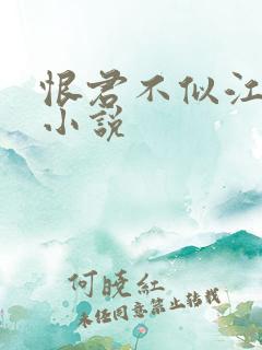 恨君不似江楼月小说