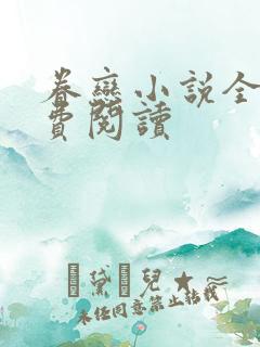 眷恋小说全文免费阅读